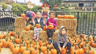 Fall Festival | EliteCare HC Events