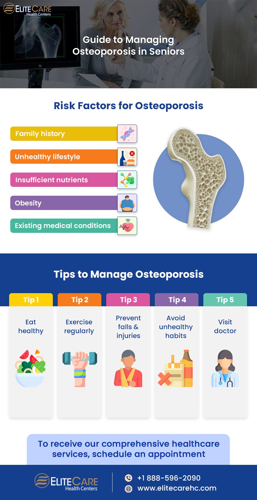 Guide to Managing Osteoporosis in Seniors | Infographic