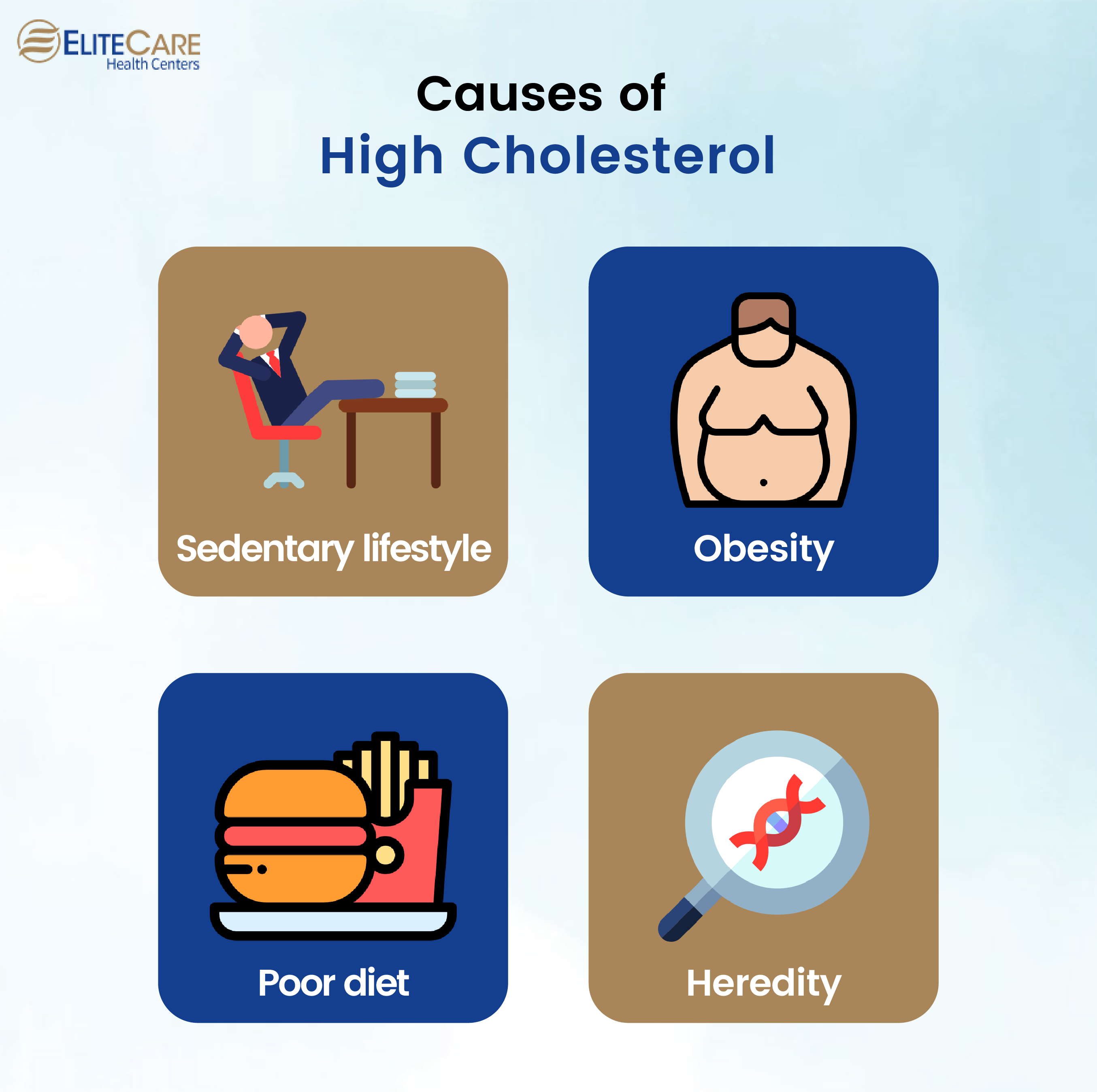 Causes of High Cholesterol