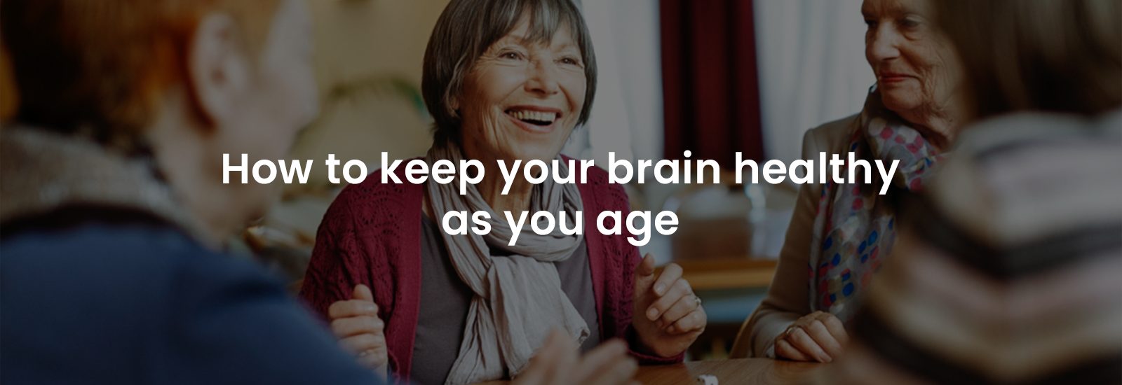 How to Keep Your Brain Healthy as You Age | Banner Image