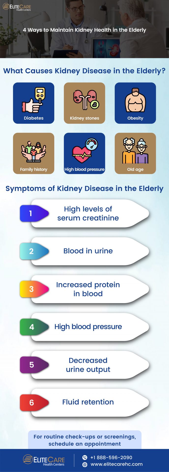 4 Ways to Maintain Kidney Health in the Elderly | Infographic