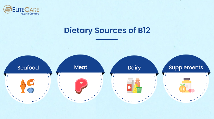 Dietary Sources of B12