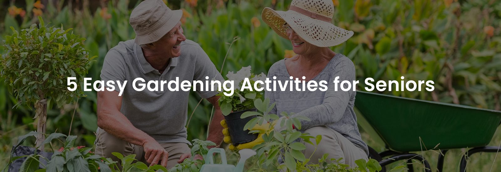 5 Easy Gardening Activities for Seniors | Banner Image