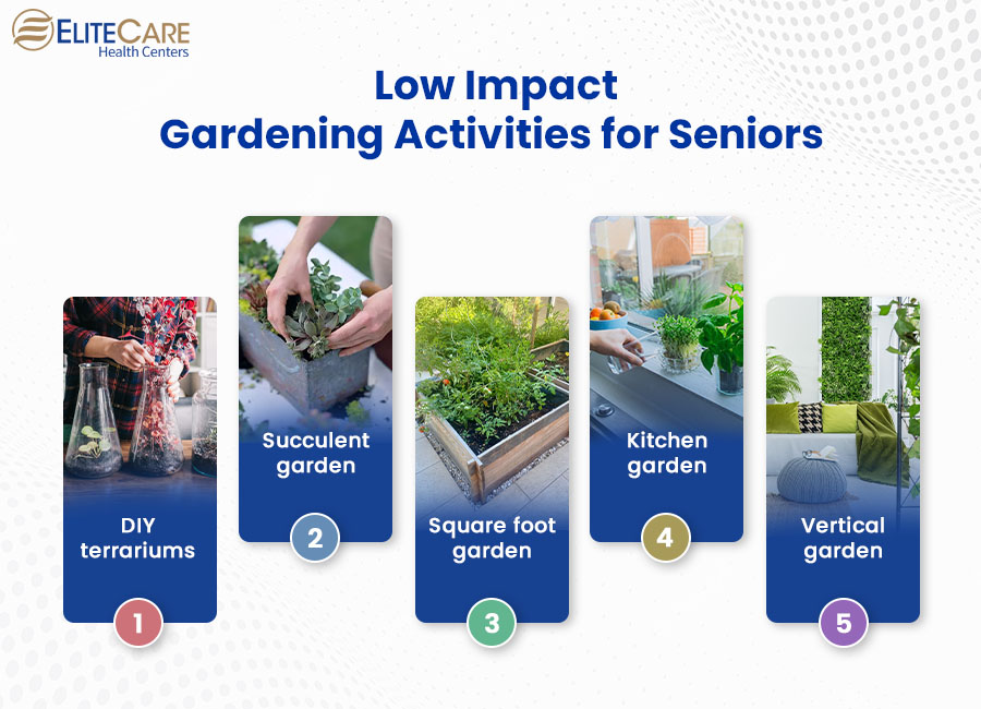 Low Impact Gardening Activities for Seniors