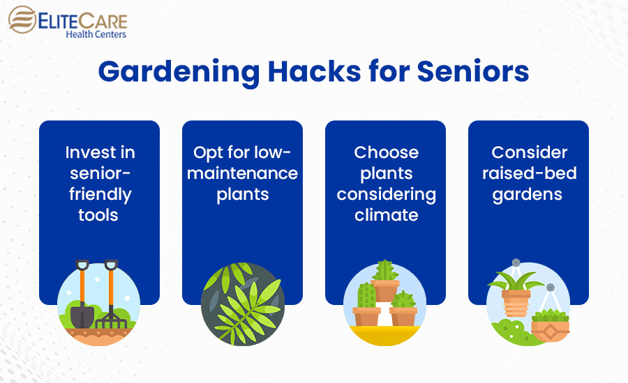 Gardening Hacks for Seniors