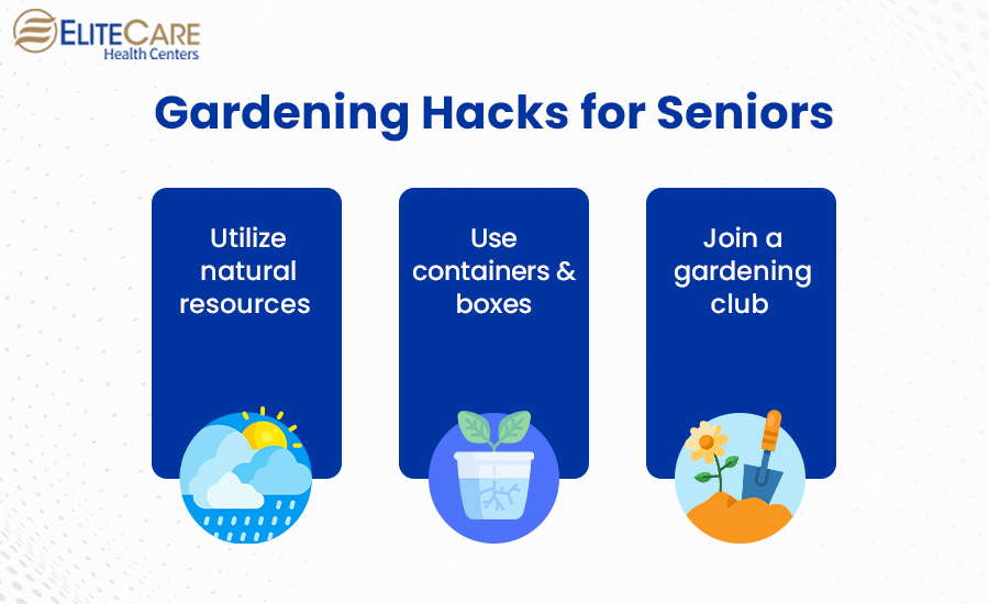 Gardening Hacks for Seniors