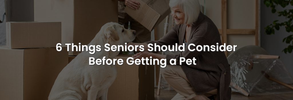 6 Things Seniors Should Consider Before Getting a Pet | Banner Image