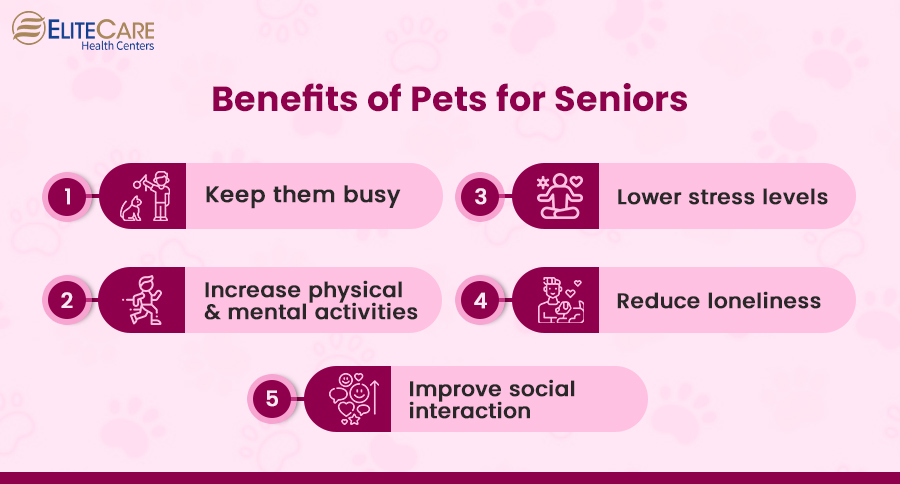 Benefits of Pets for Seniors