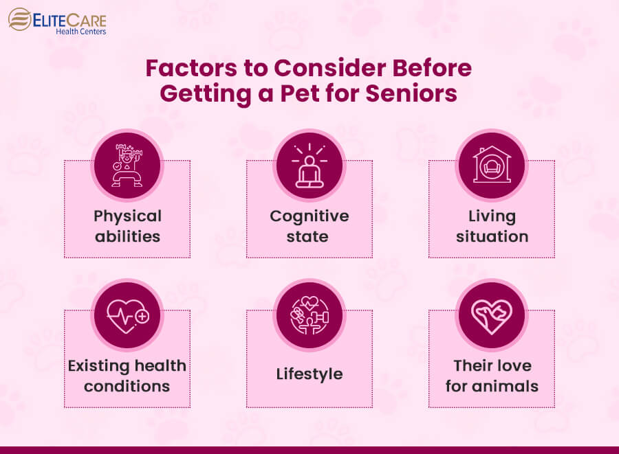 Factors to Consider Before Getting a Pet for Seniors