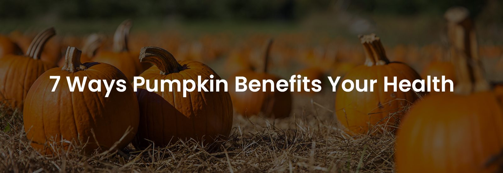 7 Ways Pumpkin Benefits Your Health | Banner Image