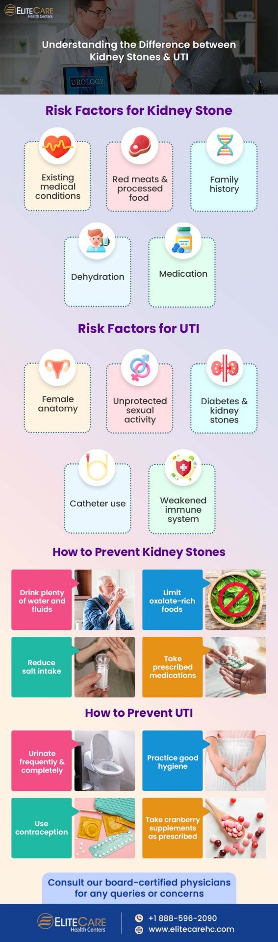 Understanding the Difference Between Kidney Stones & UTI | Infographic