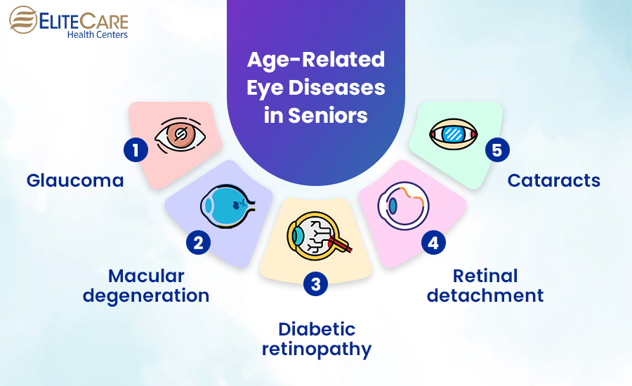 Age-Related Eyes Diseases in Seniors