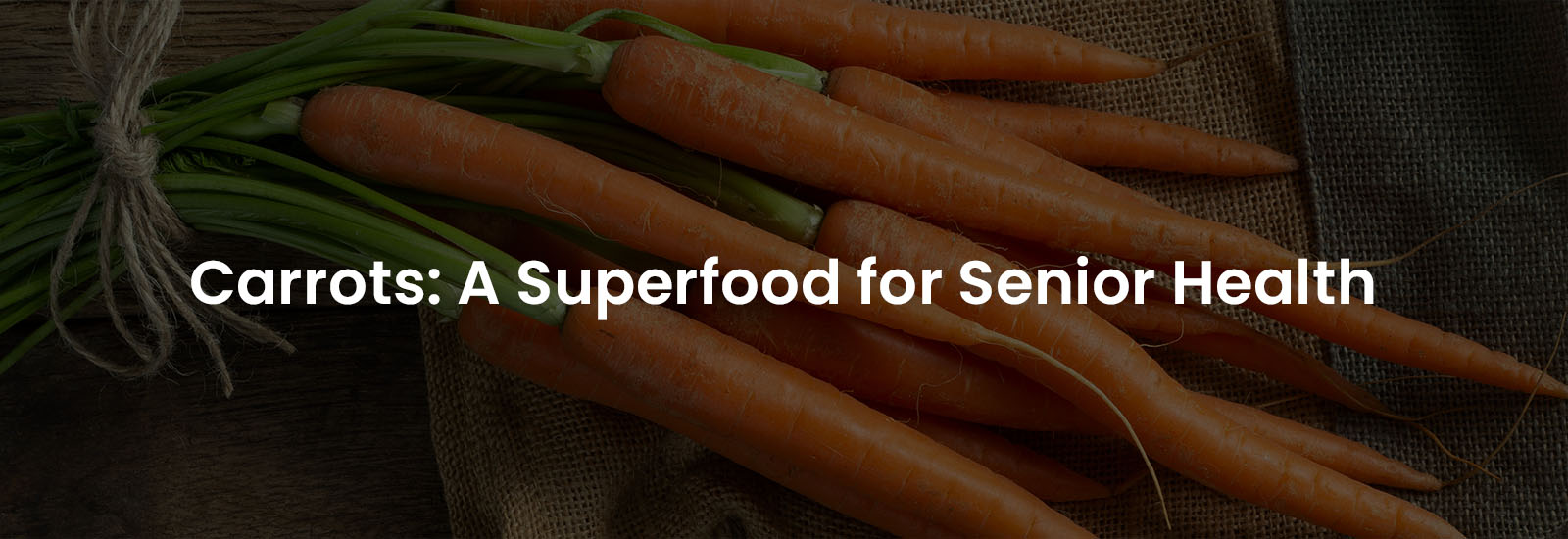 Carrots – A Superfood for Senior Health | Banner Image