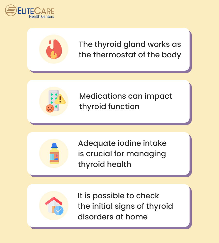 Facts About the Thyroid Gland