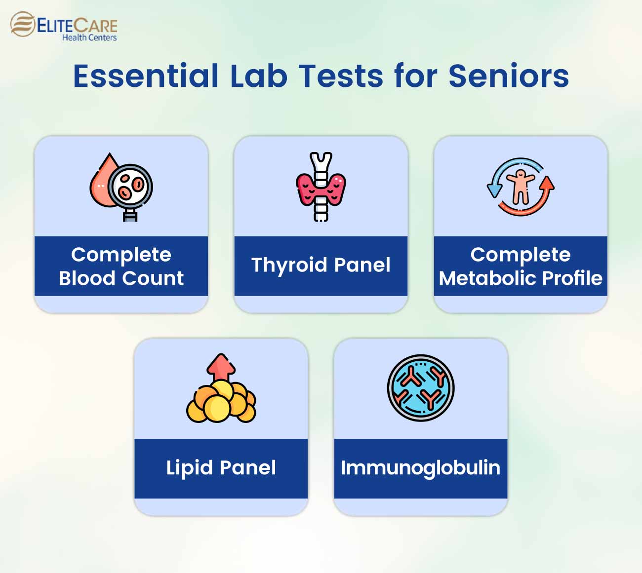 Essential Lab Tests for Seniors