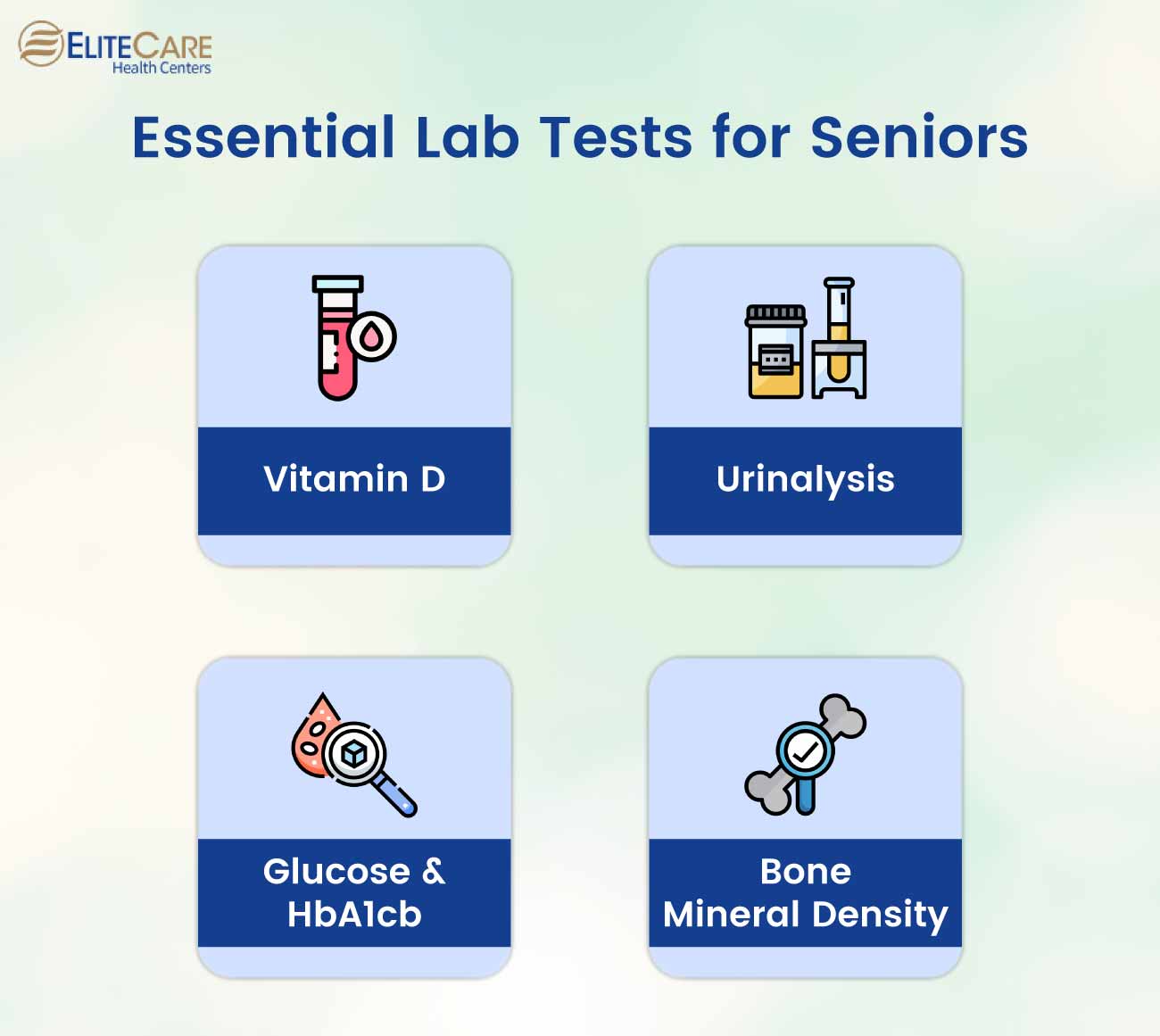 Essential Lab Tests for Seniors