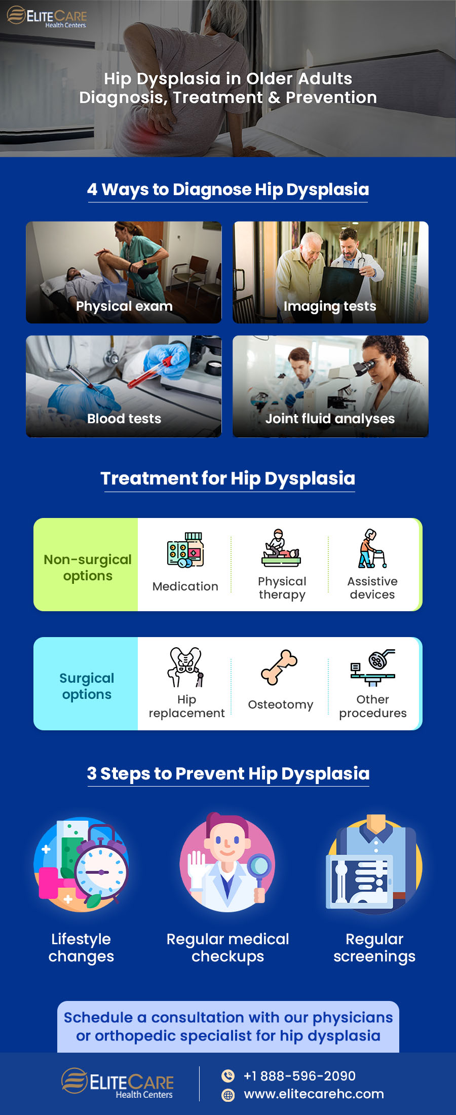 Hip Dysplasia in Older Adults Diagnosis, Treatment & Prevention | Infographic