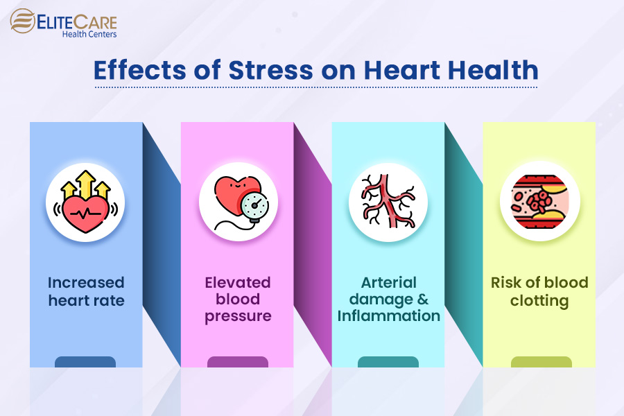 Effects of Stress on Heart Health
