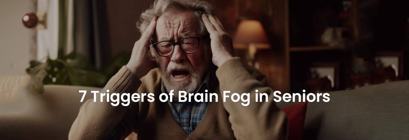 7 Triggers of Brain Fog in Seniors | Banner Image