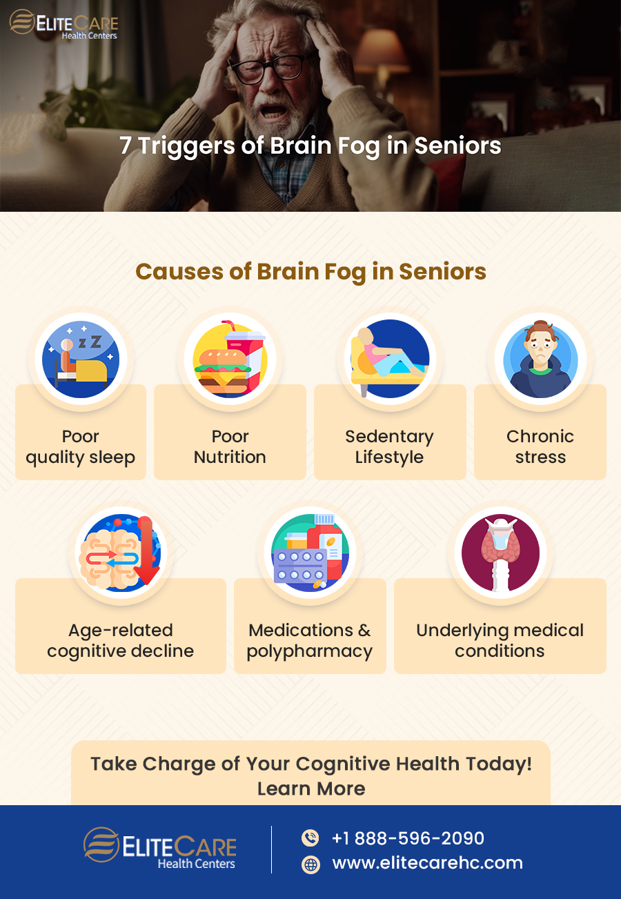 7 Triggers of Brain Fog in Seniors | Infographic