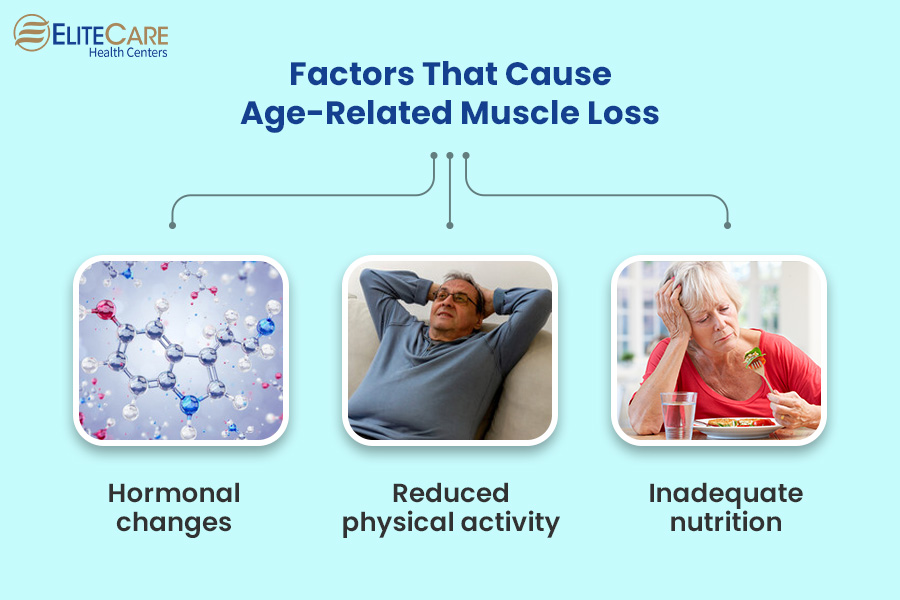 Factors That Cause Age-Related Muscle Loss