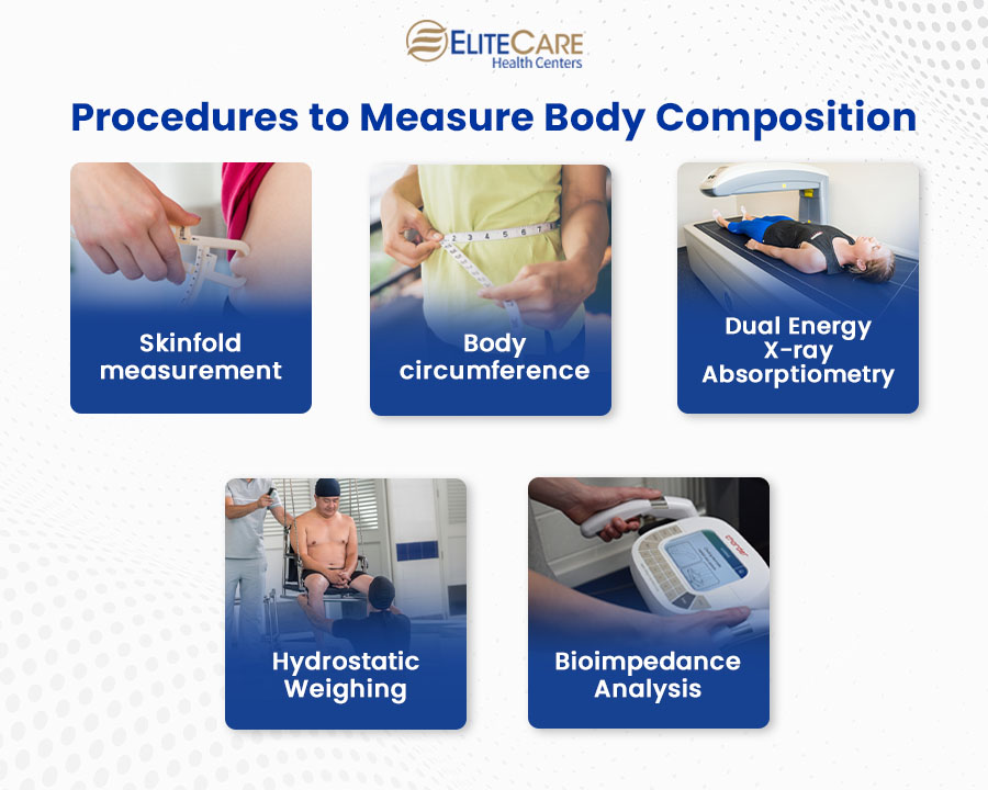 Procedures to Measure Body Composition