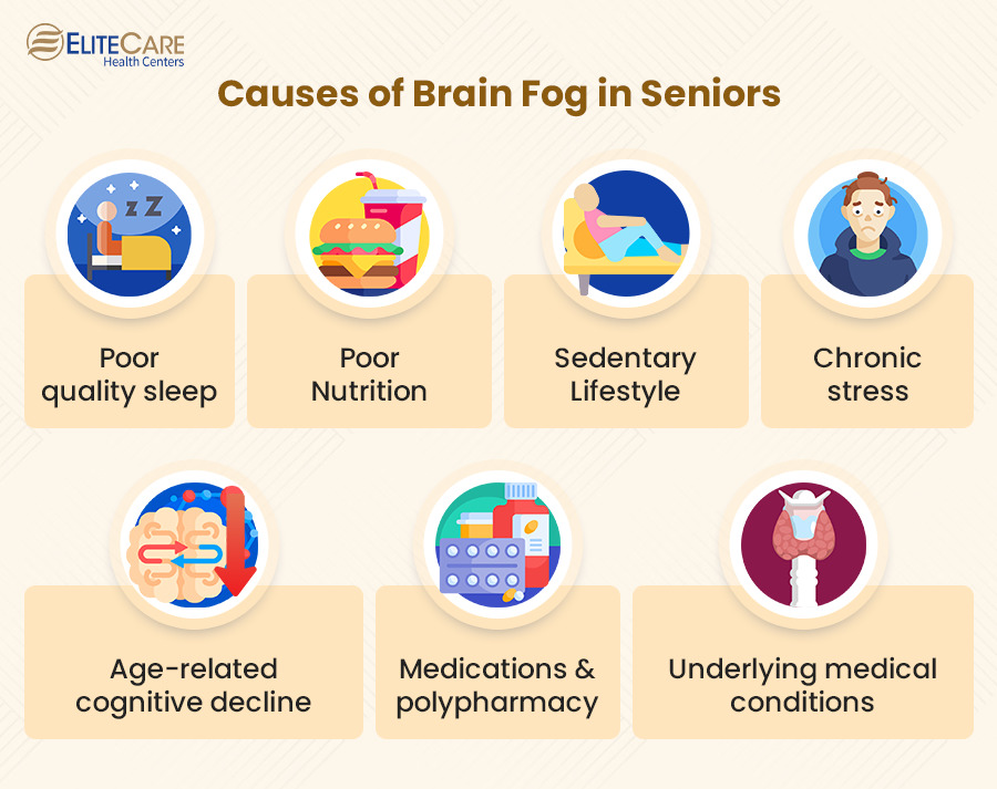 Causes of Brain Fog in Seniors