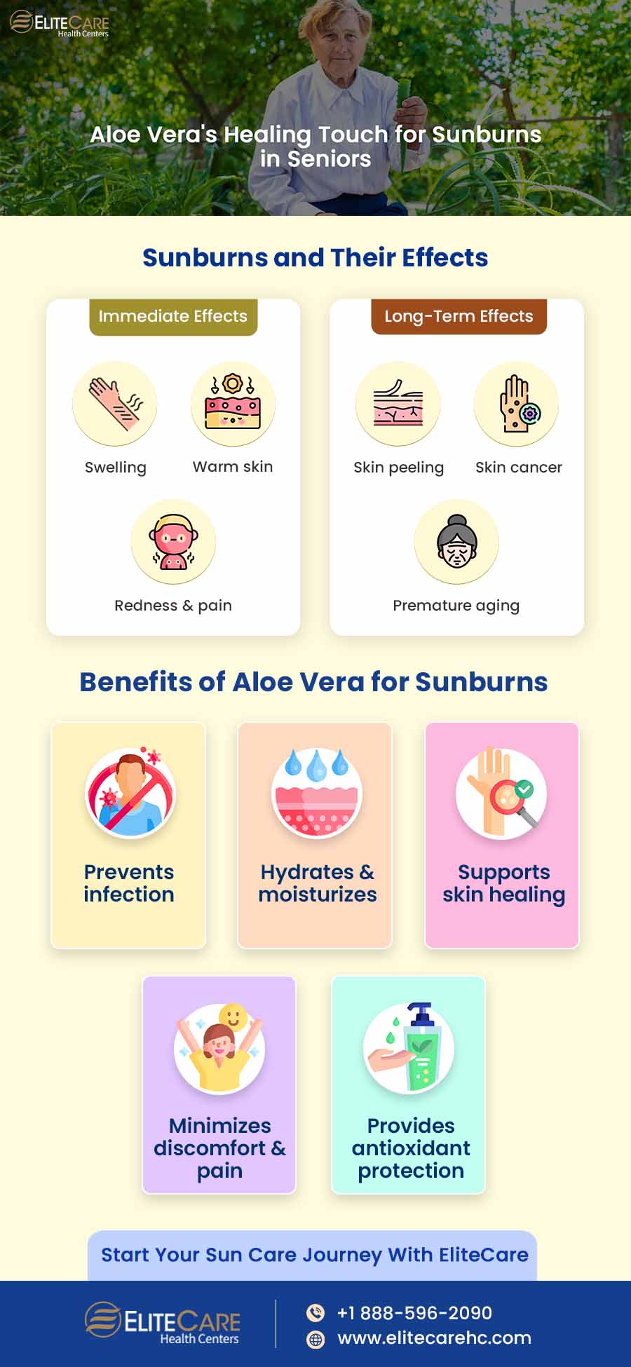 Aloe Vera’s Healing Touch for Sunburns in Seniors | Infographic