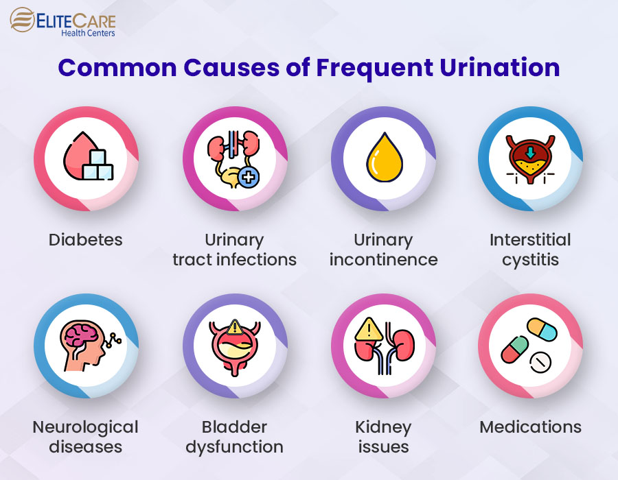 Causes Of Frequent Urination Treatments EliteCare HC