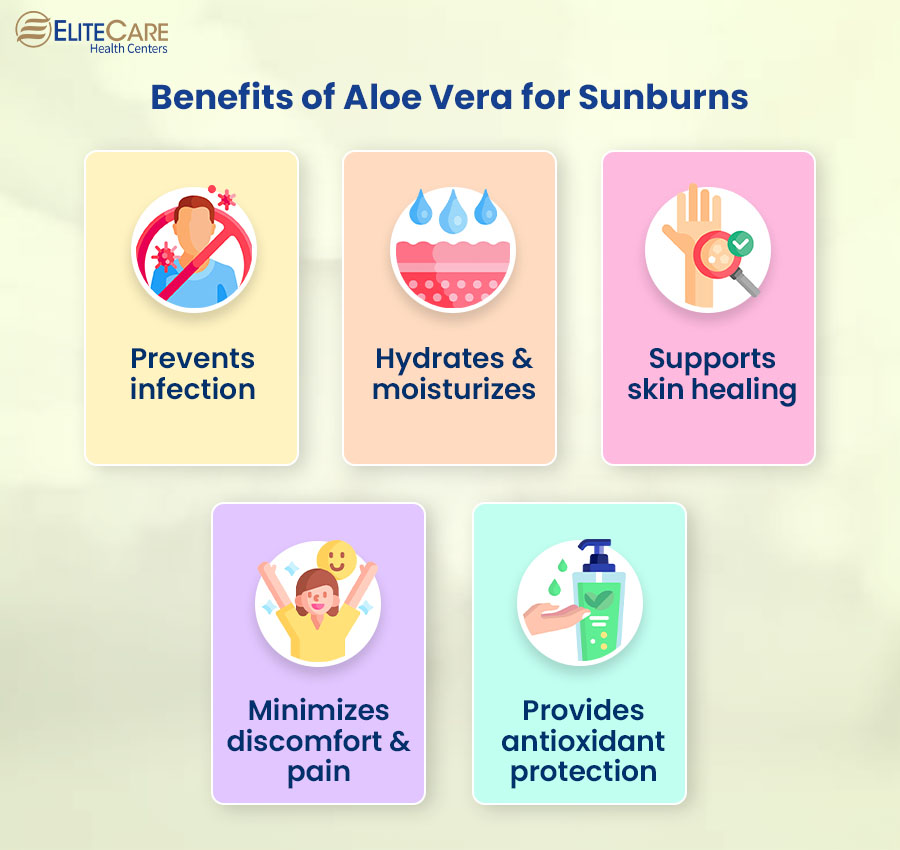 Benefits of Aloe Vera for Sunburns