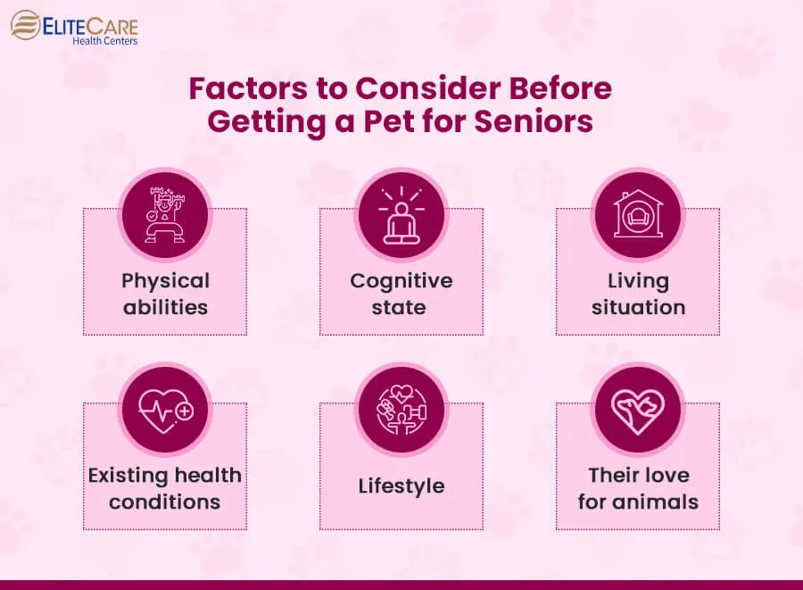 Factors to Consider Before Getting a Pet for Seniors