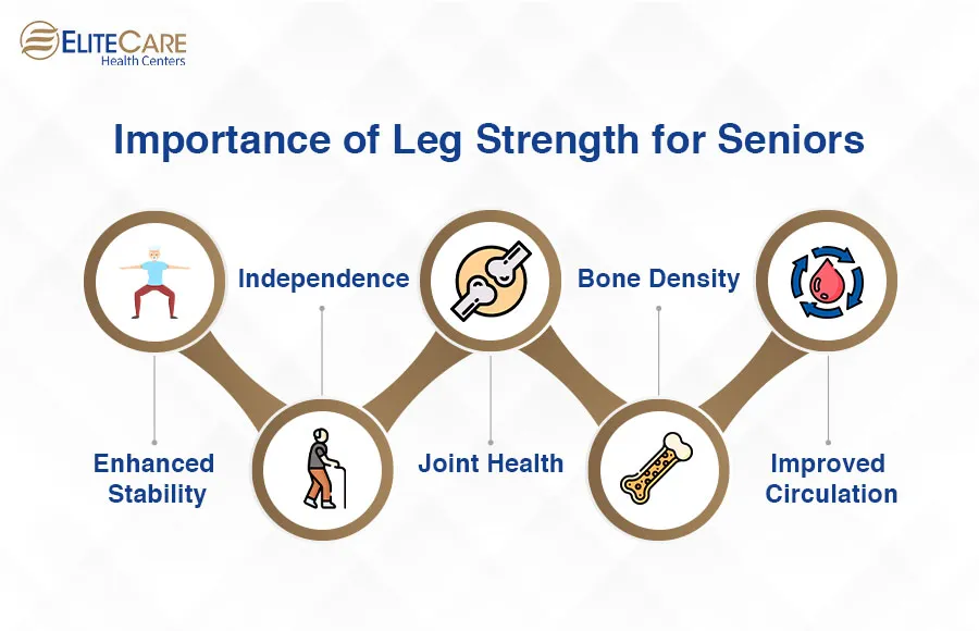 Importance-of-Leg-Strength-for-Seniors
